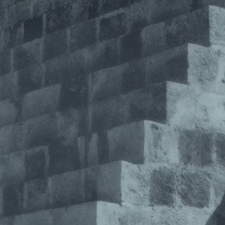 Pop Vulture- Another Success