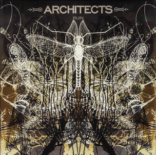 Architects- Ruin