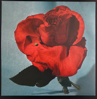 METZ- Up On Gravity Hill - Half Red & Half Black Colored Vinyl