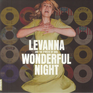 Various Artists- Wonderful Night Curated By Levanna / Various
