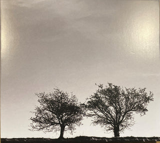 Jon Allen- A Heightened Sense Of Everything