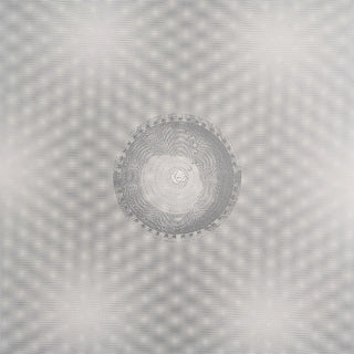 Andrius Arutiunian- Seven Common Ways Of Disappearing - Silver Colored Vinyl