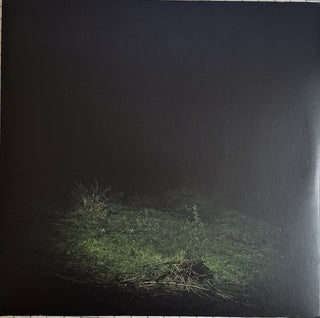 Sen Senra- Po2054az (Vol Ii) - Grey Vinyl [Colored Vinyl] (Gry) (Spa)