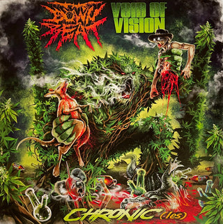 Void Of Vision- Chronicles