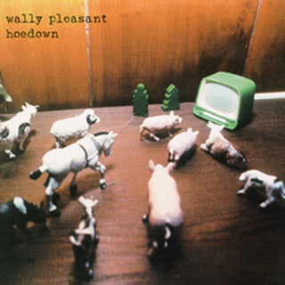 Wally Pleasant- Hoedown