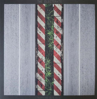 Electorate- You Don't Have Time To Stay Lost