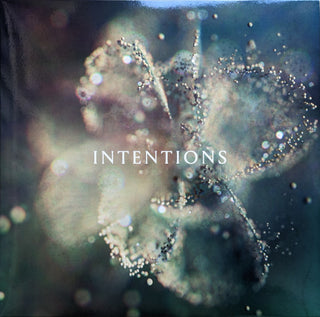 Anna- Intentions