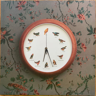 Valleyheart- Heal My Head (Indie Exclusive Vinyl)