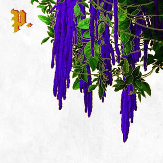 Proper.- Great American Novel