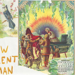 Asher White- New Excellent Woman (Can)