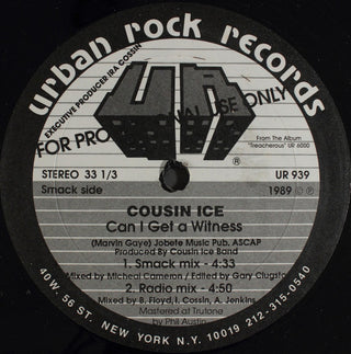 Cousin Ice- Can I Get A Witness (Promo 12")