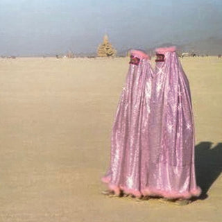 Burqa Boyz- Hump-Type Dry Loading Arms (Pink Vinyl, Sleeve Creasing)(Sealed) (Used Vinyl)