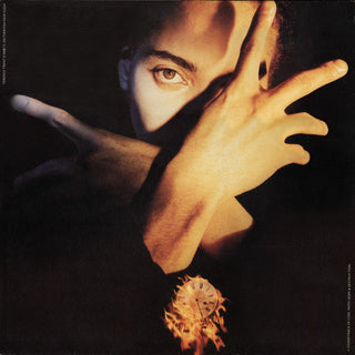 Terence Trent D'Arby- Neither Fish Nor Flesh (1989 UK 1st Press) (Used Vinyl)
