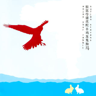 Sufjan Stevens- Enjoy Your Rabbit