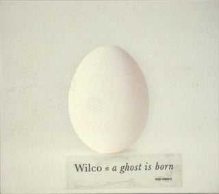 Wilco- A Ghost Is Born