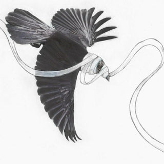 Gaza- He Is Never Coming Back