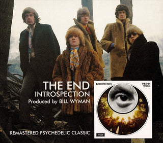 The End – Introspection