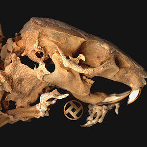 Rot In Hell- As Pearls Before Swine (Amber)