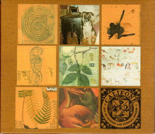 Califone- All My Friends Are Funeral Singers