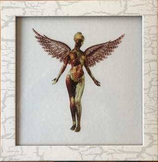 Nirvana- In Utero Super Deluxe Edition (8x 180g Vinyl LP)(Sealed) (Used Vinyl)