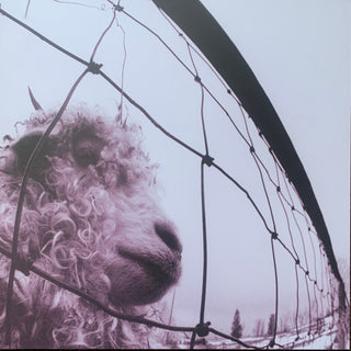 Pearl Jam- Vs. (2010s Reissue)