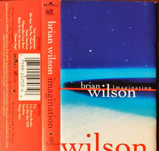Brian Wilson- Imagination