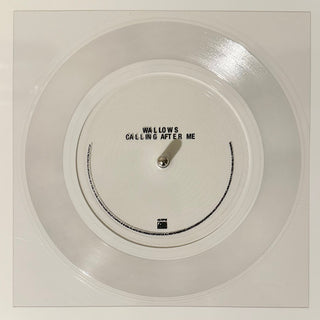 Wallows- Calling After Me (Flexi-Disc, Single Sided)