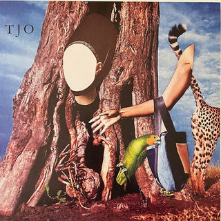 Tara Jane O'Neil- The Cool Cloud Of Okayness (Used Vinyl)