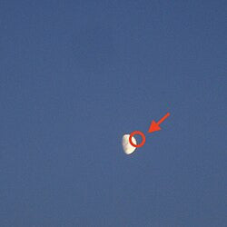 Cleopatrick- Fake Moon