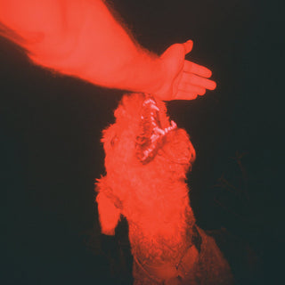 Eli Winter- A Trick Of The Light (Grey Marbled Vinyl) (Used Vinyl)