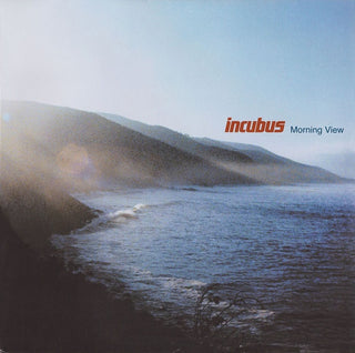 Incubus- Morning View (180g Reissue)(Mark On Side 4, Play Tested)