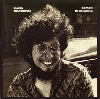 David Bromberg- Demon In Disguise