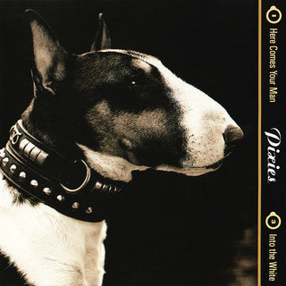 Pixies- Here Comes Your Man