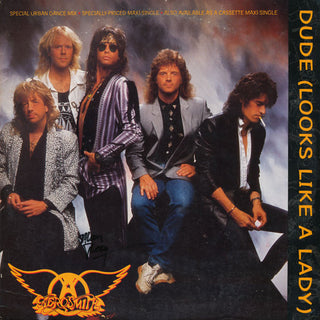 Aerosmith- Dude (Looks Like A Lady) (12”)