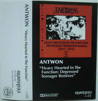 Antwon- Heavy Hearted In The Function: Depressed Teenager Remixes