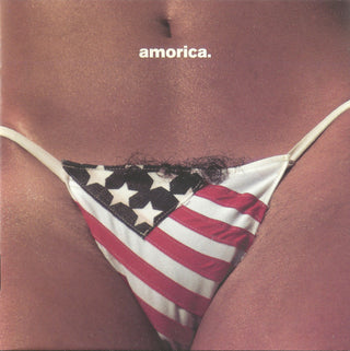 Black Crowes- Amorica