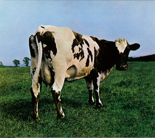 Pink Floyd- Atom Heart Mother