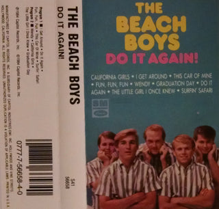 The Beach Boys- Do It Again
