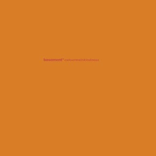 The Basement- Colourmeinkindness (Deluxe Anniversary Edition) 2xLP (Vinyl)
