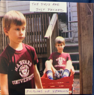 Pictures Of Vernon- The Days Are Just Packed