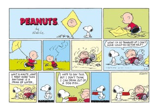 Peanuts: Happiness Is a Postcard