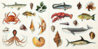 Loads of Ephemera! Sticker Book