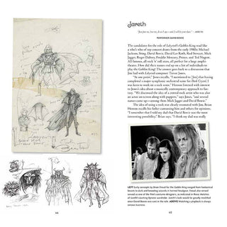 Labyrinth: The Making Of Jim Henson's Iconic Film by Paula M. Block & Terry J. Erdmann