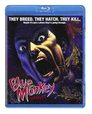 Blue Monkey (Insect)