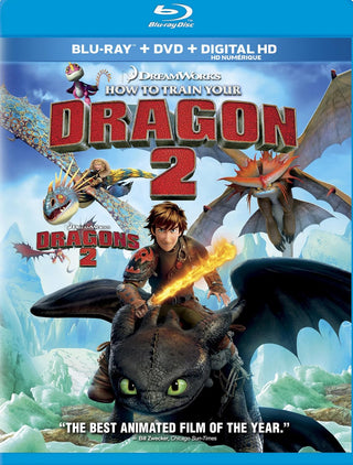 How To Train Your Dragon 2