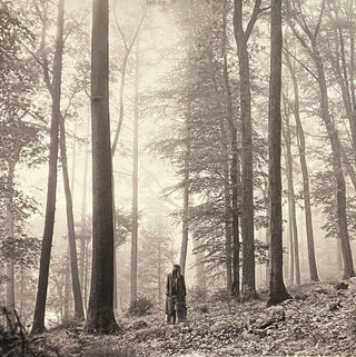 Taylor Swift- Folklore ("In The Trees" Gold Vinyl Edition)