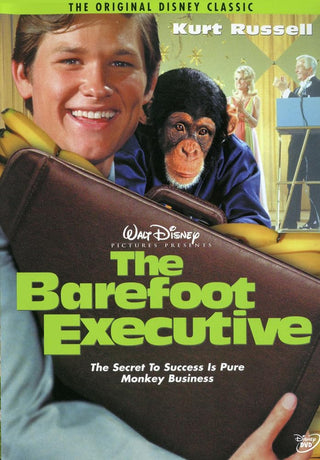 Barefoot Executive