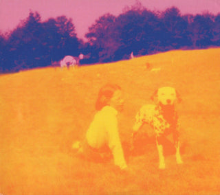 Eels- Blinking Lights And Other Revelations