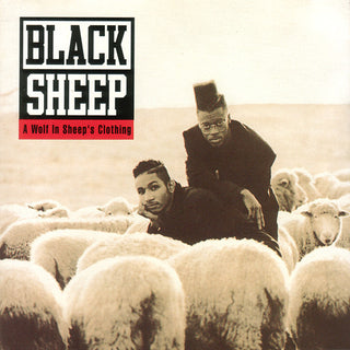 Black Sheep- A Wolf In Sleep's Clothing