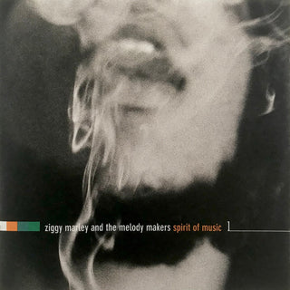 Ziggy Marley- Spirit Of Music